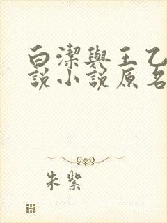 白洁与王乙的传说小说原名封面