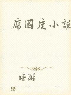 腐国度小说
