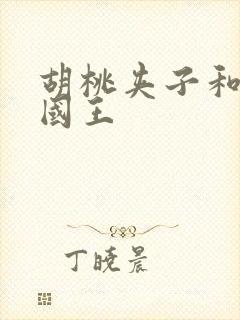 胡桃夹子和老鼠国王