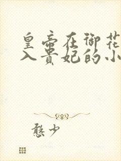 皇帝在御花园进入贵妃的小说封面