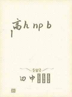 高h np bl