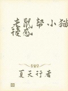 老鼠帮小猫的读后感封面