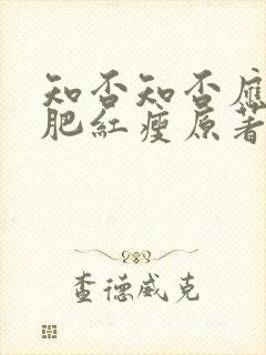 知否知否应是绿肥红瘦原著作者封面