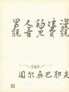 男人的浪漫在线观看免费观看全集封面