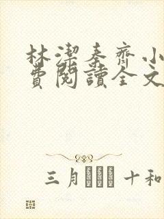 林洁秦齐小说免费阅读全文最新章节