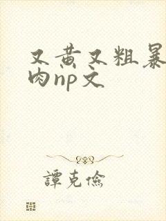 又黄又粗暴的纯肉np文