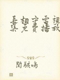 长相守电视剧全集免费播放高清