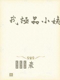 我极品小姨叶凡