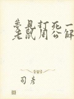 梦见打死一只大老鼠周公解梦封面