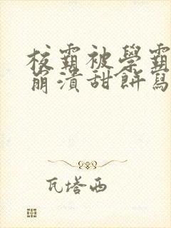 校霸被学霸玩到崩溃甜饼写手