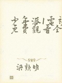 少年派1电视剧免费观看全集完整版