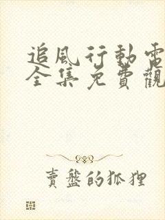 追风行动电视剧全集免费观看