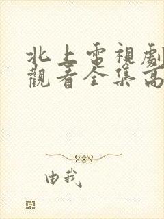 北上电视剧免费观看全集高清