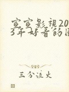 宣宣影视2023年好看的国产电视剧封面