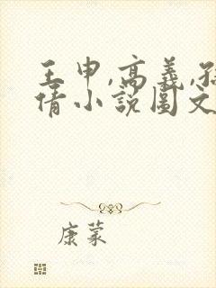 王申,高义,孙倩小说图文在线阅读