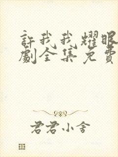 许我我耀眼电视剧全集免费观看封面