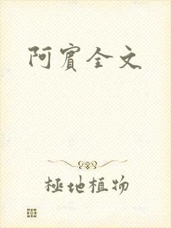 阿宾全文