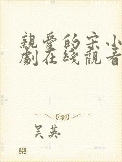 亲爱的宋小姐短剧在线观看完整版