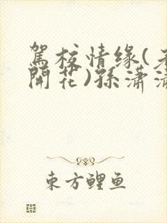 驾校情缘(老树开花)孙潇潇第一次趣笔阁封面