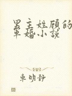 男主姓顾的所有军婚小说