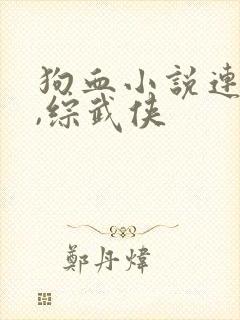 狗血小说连载中,综武侠