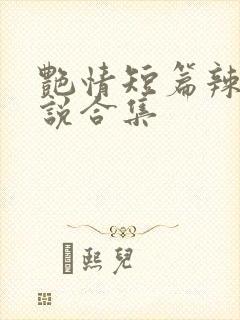 艳情短篇辣文小说合集