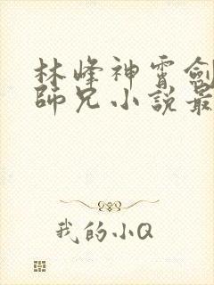 林峰神霄剑宗大师兄小说最新章节