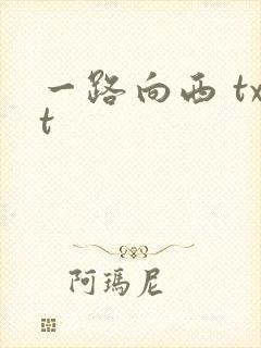一路向西 txt封面