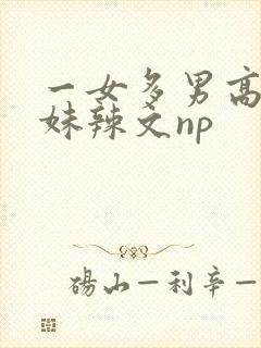 一女多男高h兄妹辣文np