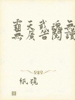 霸天武魂无弹窗无广告阅读封面