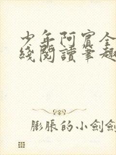 少年阿宾全文在线阅读笔趣阁封面