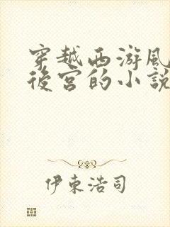 穿越西游风流开后宫的小说