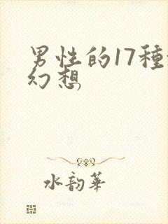 男性的17种x幻想封面