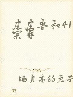 皮皮鲁和419宗罪