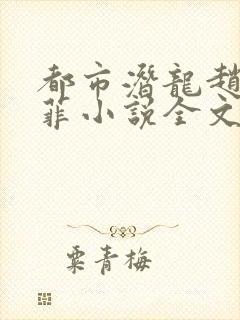 都市潜龙赵东苏菲小说全文免费阅读