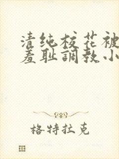 清纯校花被民工羞耻调教小说