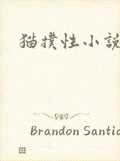 猫扑性小说