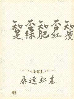 知否知否知否应是绿肥红瘦讲的是什么