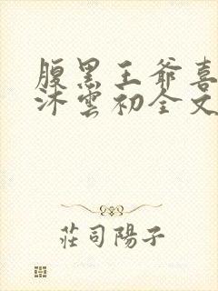 腹黑王爷喜当爹沐云初全文免费阅读