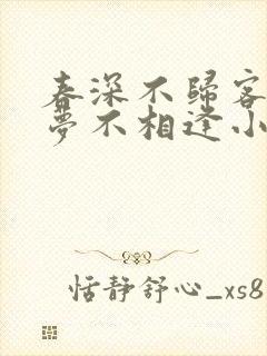 春深不归客,清梦不相逢小说免费阅读