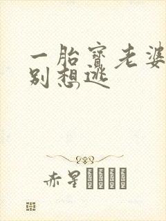 一胎宝老婆大人别想逃封面