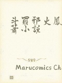 斗罗邪火凤凰林萧小说