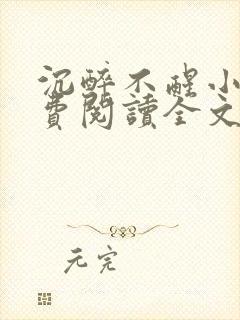 沉醉不醒小说免费阅读全文无弹窗