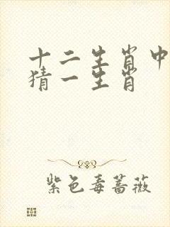 十二生肖中一个猜一生肖