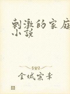 刺激的家庭乱仑小说封面