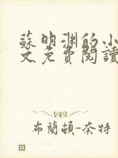 苏明渊的小说全文免费阅读无弹窗封面