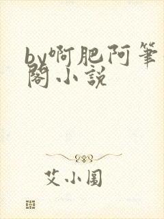 by啊肥阿笔趣阁小说