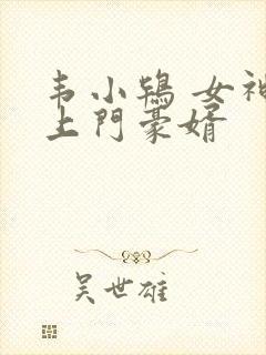 韦小鸨 女神的上门豪婿封面