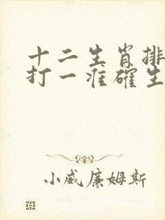 十二生肖排第三打一准确生肖封面