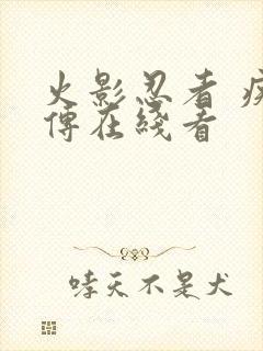 火影忍者 疾风传在线看